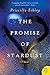 The Promise of Stardust: A Novel