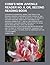 Cobb's new juvenile reader no. II, or, Second reading book; containing interesting, moral, and instructive reading lessons, composed of easy words of ... first reading lesson not contained in any re