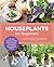 Houseplants for Beginners: A Simple Guide for New Plant Parents for Making Houseplants Thrive (New Shoe Press)