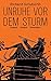 Unruhe vor dem Sturm. 2 Bän...