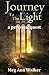 Journey To The Light by Meg Ann Walker