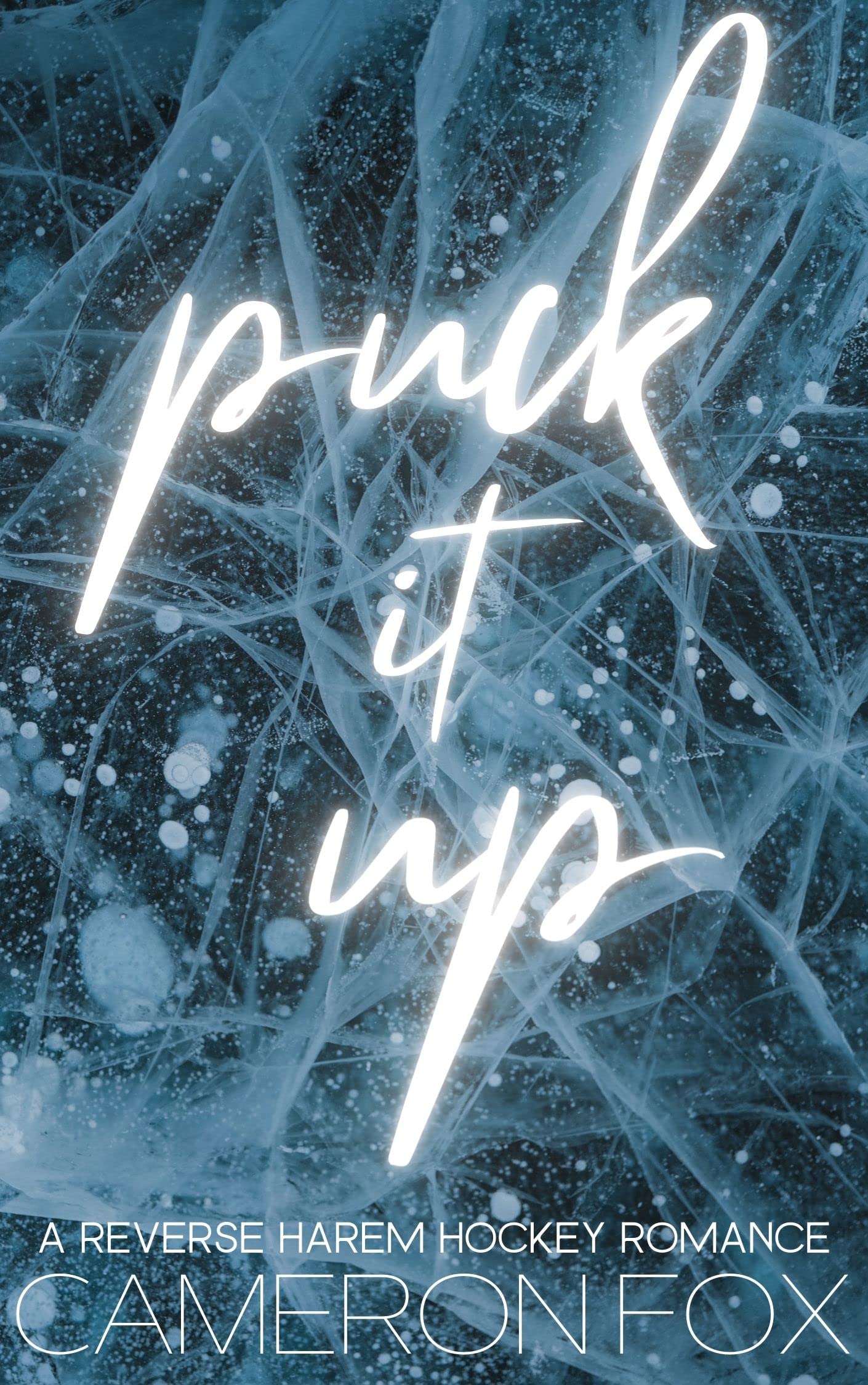 Puck It Up (Kindle Edition)