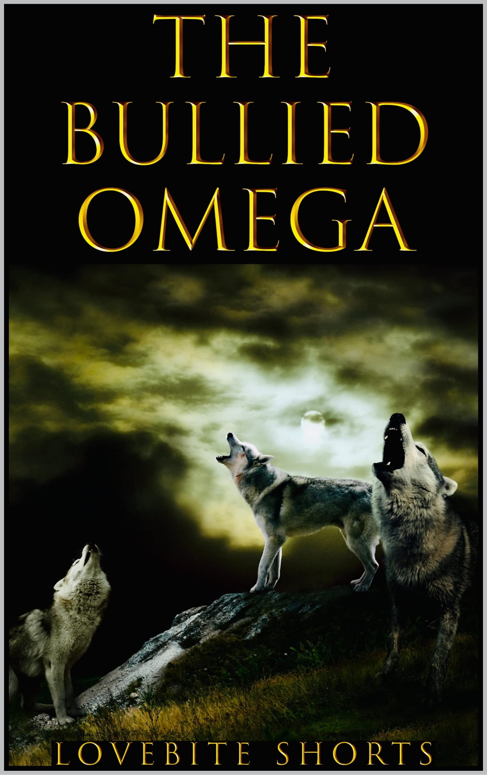 The Bullied Omega: Rejected Mate ~ Reverse Harem (Kindle Edition)