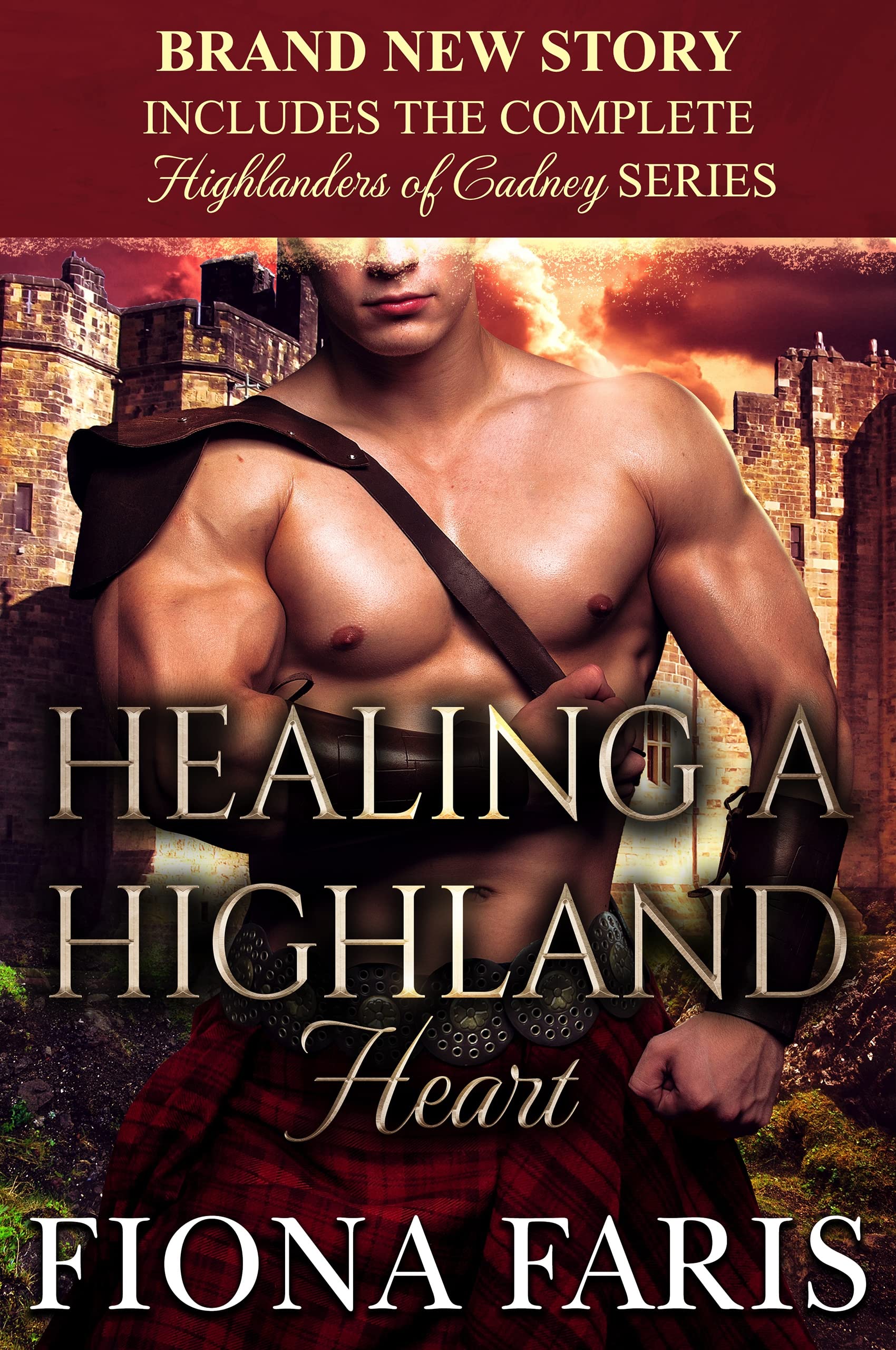 Healing a Highland Heart (Highlanders of Cadney, #6)