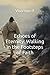 Echoes of Eternity: Walking...