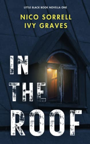 In The Roof (Paperback)