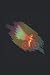 Bicycle Angel Cyclist And M...