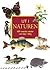 Ut i naturen: 600 svenska växter och djur i färg