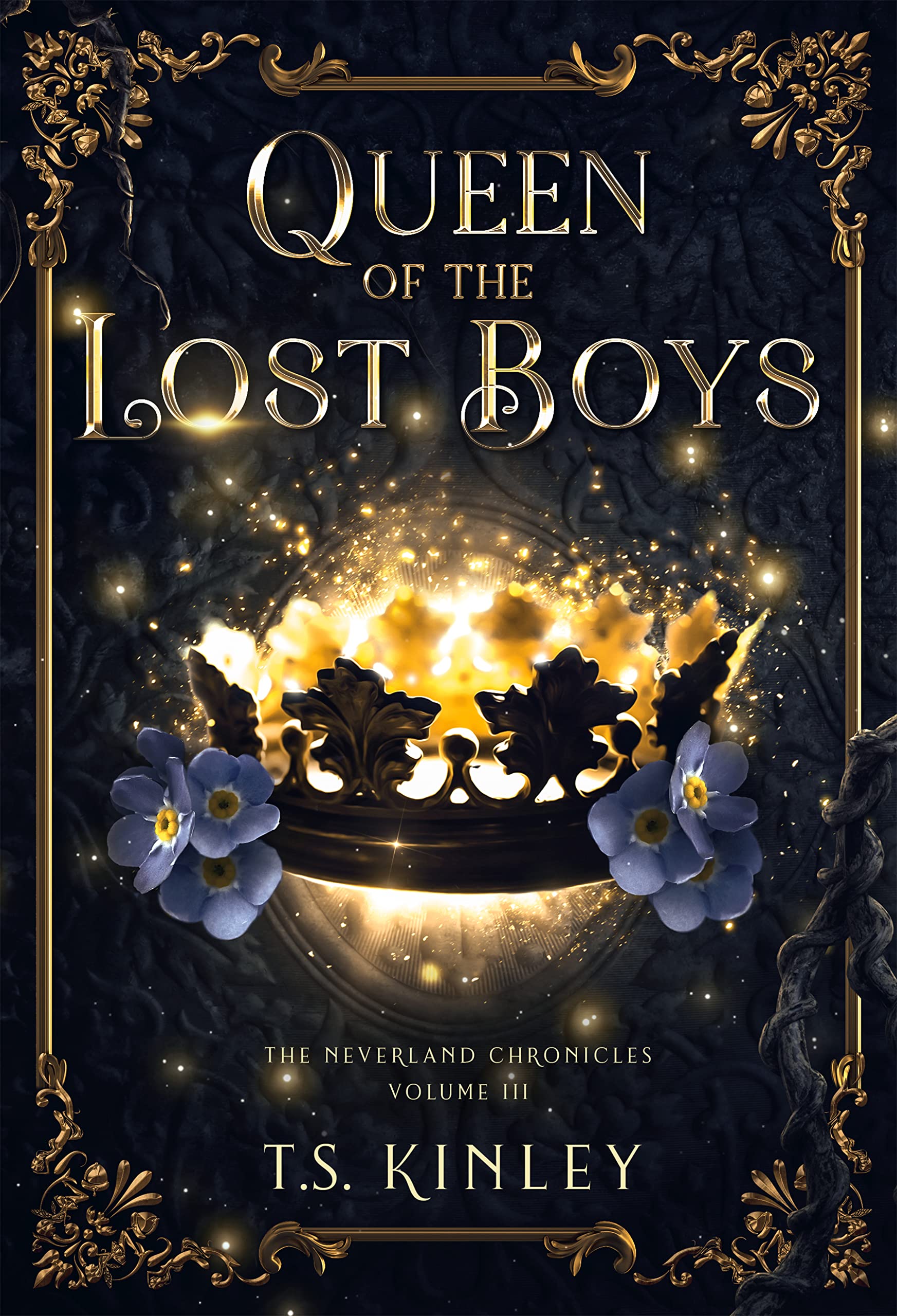 Queen of the Lost Boys (The Neverland Chronicles #3)