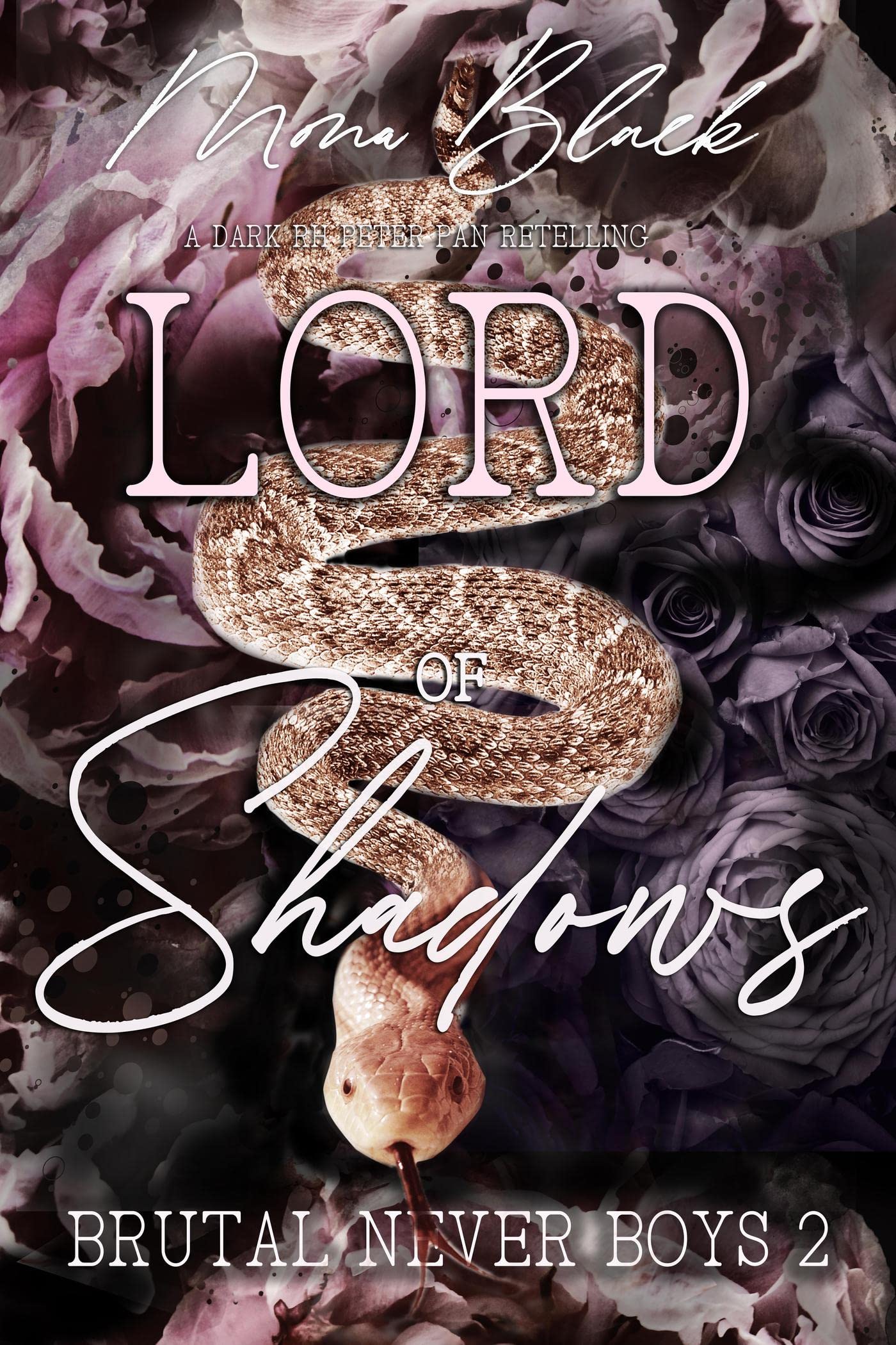 Lord of Shadows (Brutal Never Boys, #2)