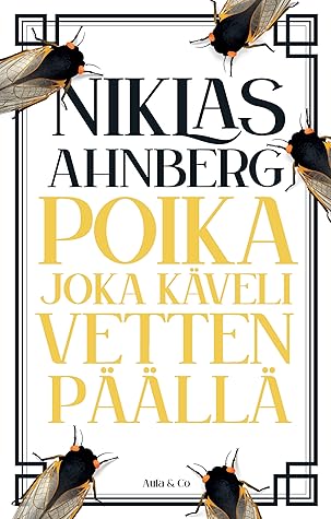 Poika joka käveli vetten päällä (Daniel Dark, #1)