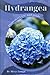 Hydrangea: Plant overview a...