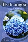 Hydrangea: Plant overview and guide