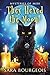 They Hexed the Moon! (Familiar Kitten Mysteries, #20; Mysteries of Meri, #6)