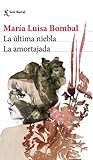 La última niebla ...