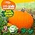 National Geographic Kids Li...