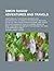 Simon Suggs' Adventures and travels; Comprising all the scenes, incidents and adventures of his travels, in a series of sketches of his life; with ... Being the most laughable and side-spl