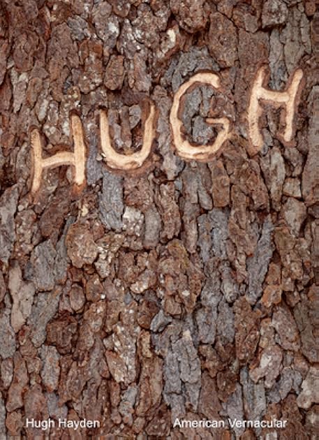 Hugh Hayden: American Vernacular