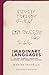 Imaginary Languages: Myths, Utopias, Fantasies, Illusions, and Linguistic Fictions
