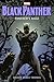 Black Panther: Panther's Rage
