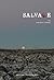 Salvage #13: Give Dust a To...