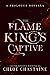 The Flame King's Captive Pr...