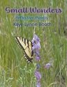 Small Wonders by Kaye Lynne Booth