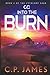 Into the Burn (The Cytocorp Saga)