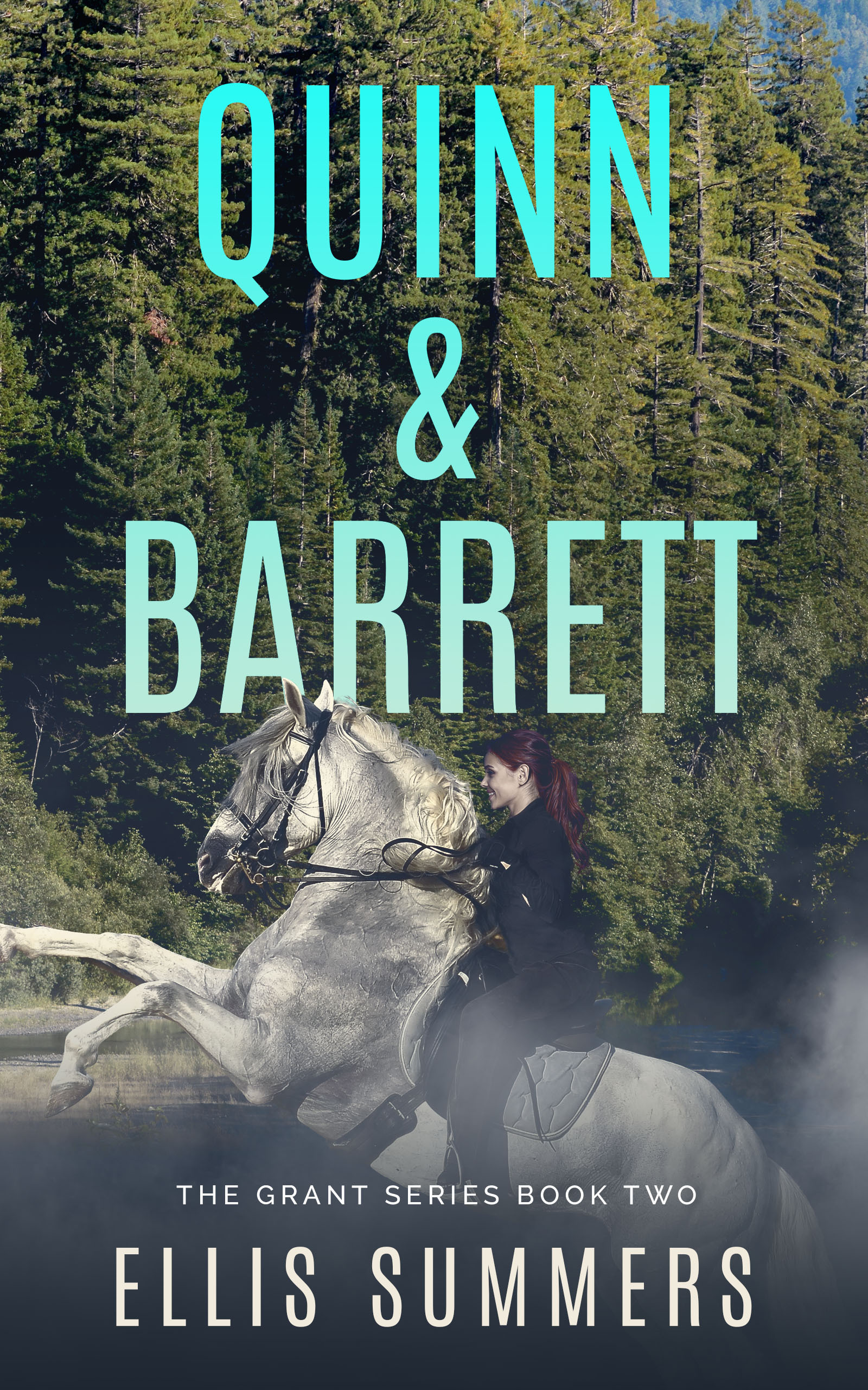 Quinn & Barrett (The Grant Series #2)