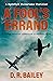 A Fool's Errand: A daring a...