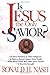 Is Jesus the Only Savior?