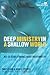 Deep Ministry in a Shallow World: Not-So-Secret Findings about Youth Ministry (Youth Specialties)