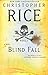 Blind Fall: A Novel