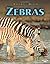 Zebras (Nature Watch)