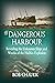 The Dangerous Harbour: Revealing the Unknown Ships and Wrecks of the Halifax Explosion