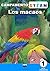 Campamento STEAM: Los macaos