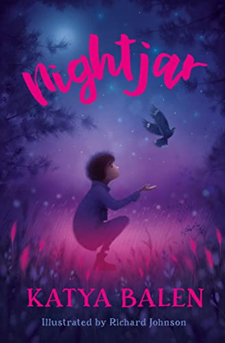 Nightjar (Paperback)