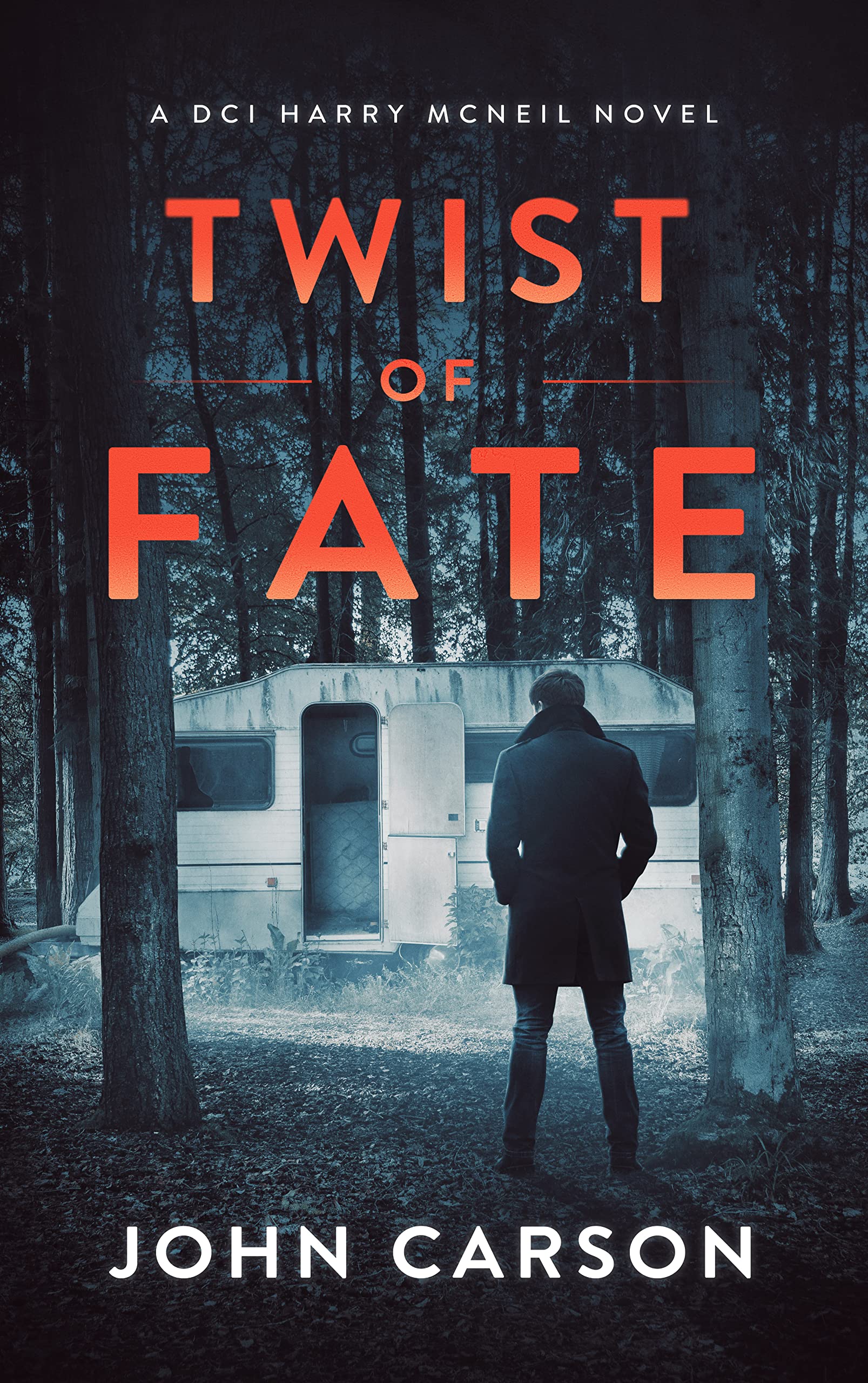Twist of Fate (DCI Harry McNeil, #18)