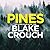 Pines (Wayward Pines, #1)