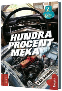 Hundra procent meka (Säva Spinoff, #2)