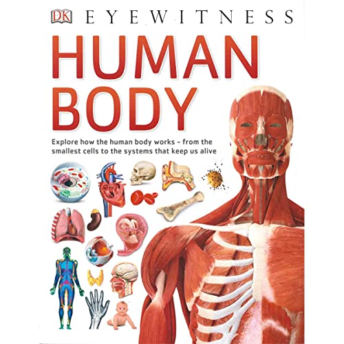 Eyewitness - Human Body (Paperback)