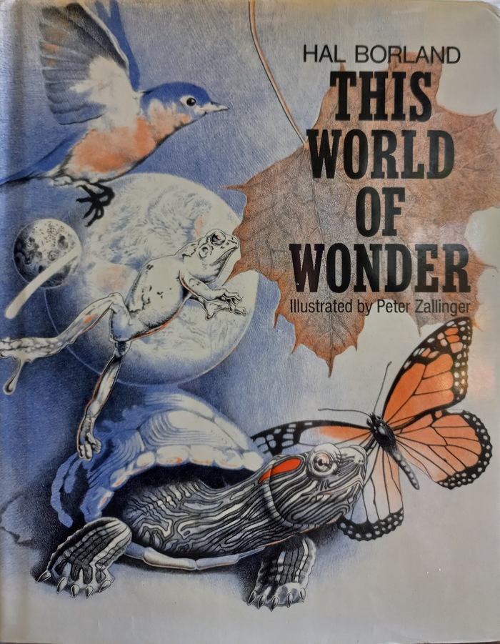 This world of wonder