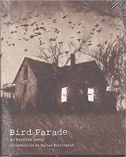 Bird Parade