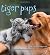 Tiger Pups