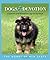 Dogs & Devotion