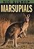 Nic Bishop: Marsupials
