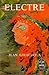 Electre : Pièce en 2 actes