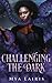 Challenging the Dark