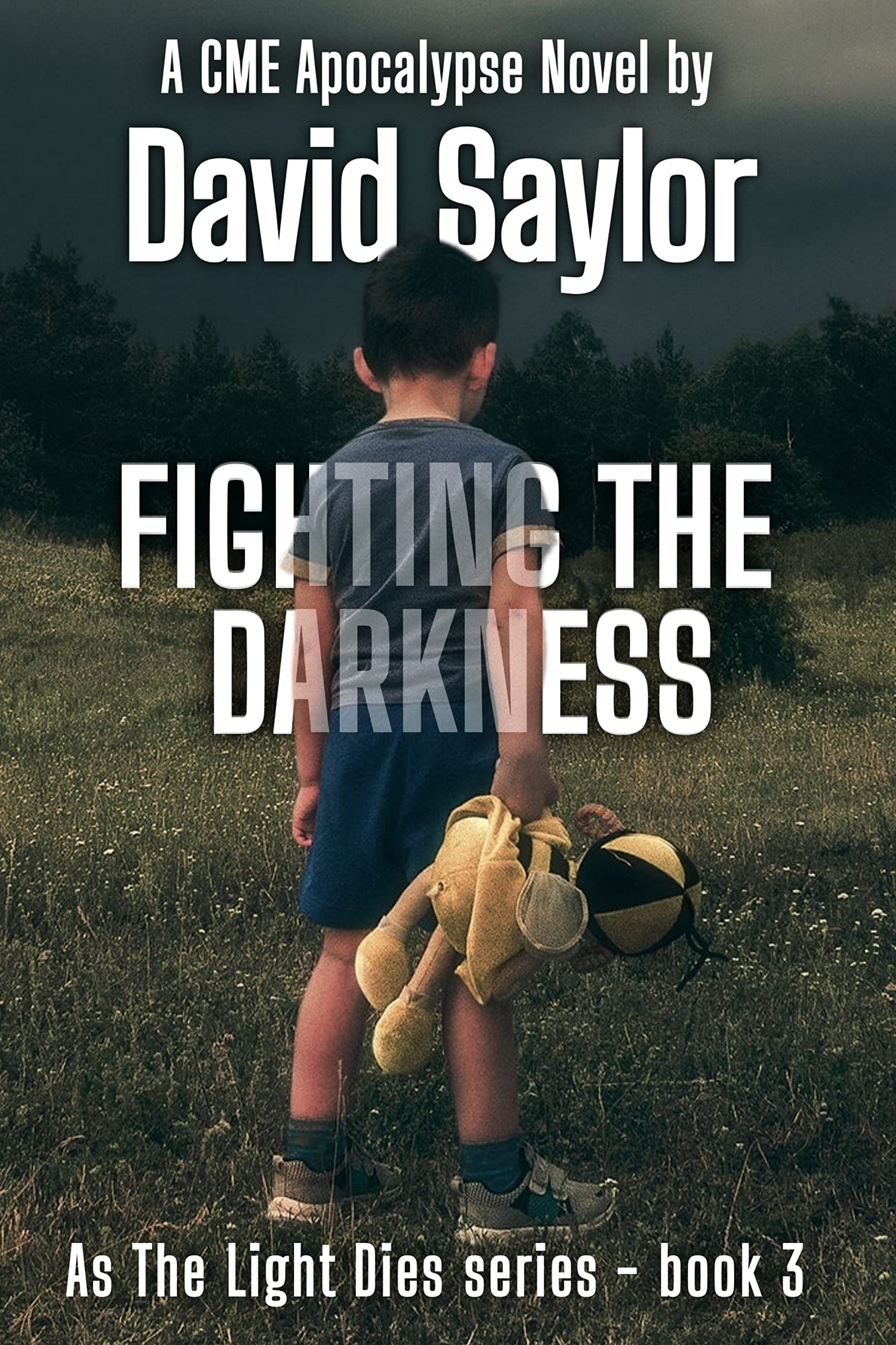 FIGHTING THE DARKNESS (As The Light Dies Book 4)