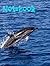 Dolphin Notebook Journal: L...